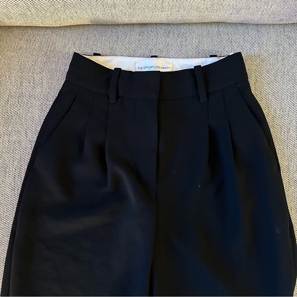 Aritzia Trousers